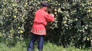 СТИХИ ЕСЕНИНА - Читает Михаил НОВИКОВ