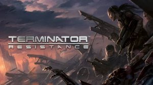 Terminator Resistance
