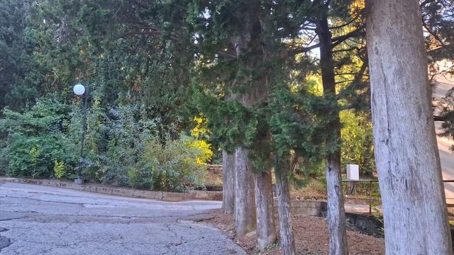 Сан. Узбекистан смотреть онлайн