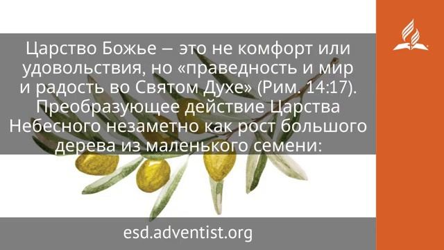 5 октября 2025. Неприметным образом. Под сенью благодати | Адвентисты