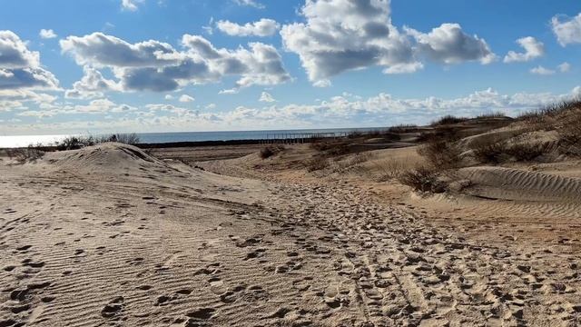 Витязево 5 февраля 2025 смотреть онлайн