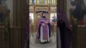 О богоугодном крестоношении. Проповедь о. Николая. 4.10.25