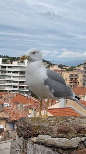 Это кто такой красивый?!