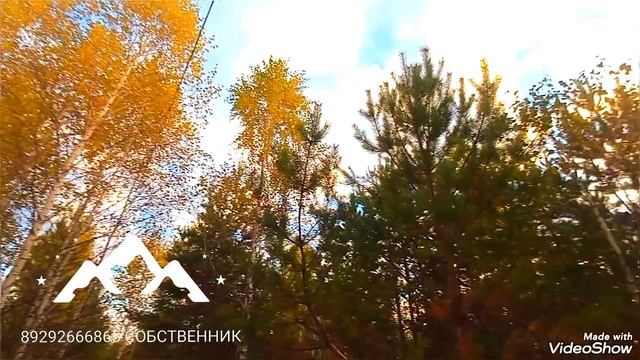 СИНГУЛЬ