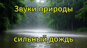 Звуки природы, сильный дождь, ливень, музыка для релаксации, медитации и сна