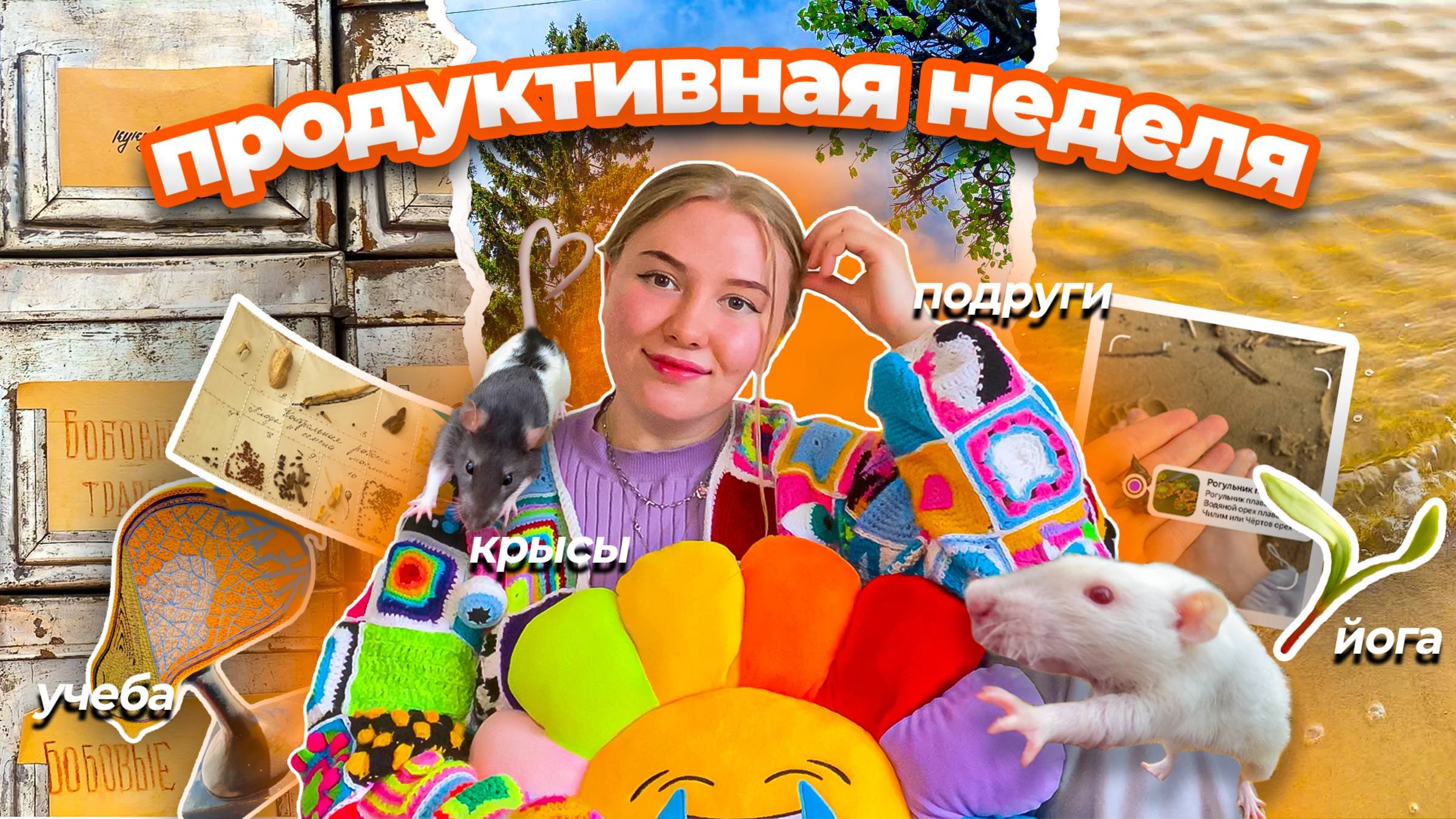 продуктивный день с 5 утра весной | йога  дисциплина и учеба