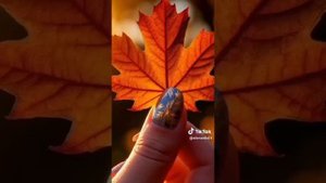 Улыбнись и подумай, какая красивая осень...