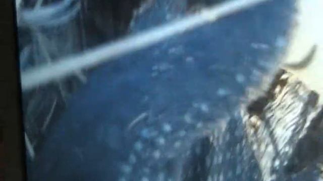 В ПОИСКАХ ТАНКА И ПРЕДМЕТОВ ВОЙНЫ #6 смотреть онлайн