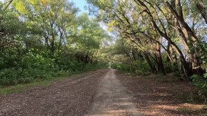 Берег Кубани (Яблоновский) - прогулка