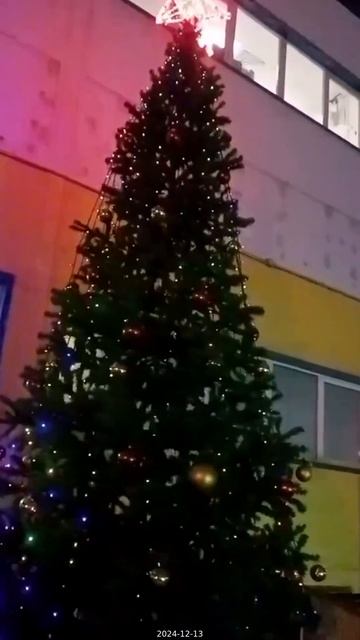 2024-12-13_7447969649620339976_1080p [clean_gentle_4]