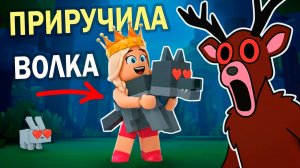 ПРИРУЧИЛА ВОЛКА 😍 и поймала АЛМАЗНЫЙ ДОЖДЬ 💎 99 ночей в лесу обновление роблокс
