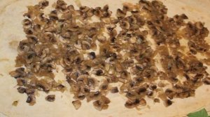 Лаваш с грибами