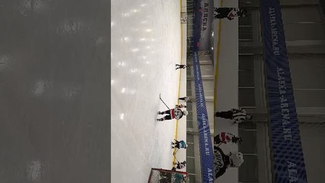 центр серебряные акулы 17 год