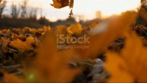 "Мне так тепло, когда я слышу голос твой...🍁🧣🍃