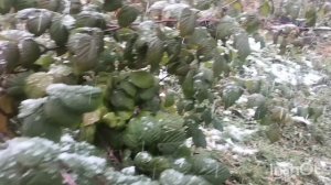 Давай навсегда.