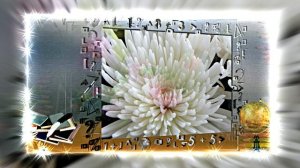 С Днём Учителя 19! Поздравление С Днём Учителя!!!