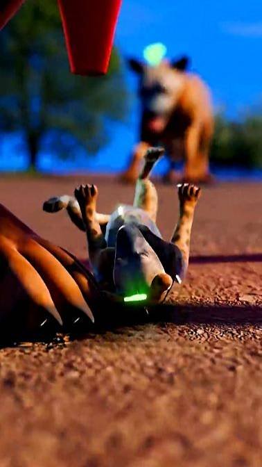 Самые невезучие животные!