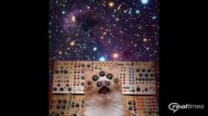 ALBA DEL NUOVO GIORNO