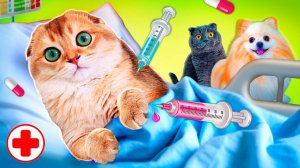 КОШЕЧКА БАТТЕРС и КОТЕНОК ПЕРСИК в БОЛЬНИЦЕ | Ставим УКОЛЫ и Проверяем СЕРДЦЕ