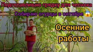 🏡 Грядка для чеснока Огурцы в октябре 4 Октября 2025