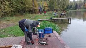 Поимки форели на спиннинг, поплавочную снасть и закидушки. Клёвое место, Лосиный остров, верхний.