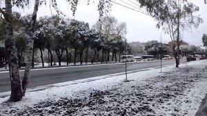 Вот и выпал первый снег!!! 🌨🌨🌨🌨❄/ Новосибирск/ 05.10.2025