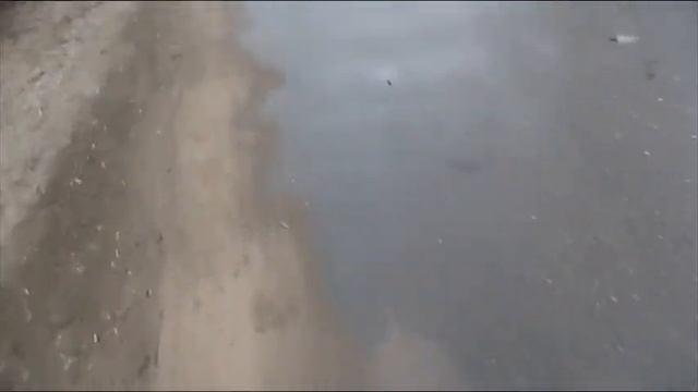 Как делается дезинфекция против короновируса смотреть онлайн