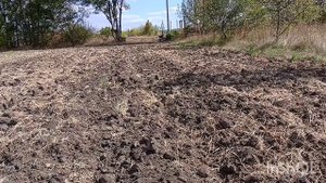 КОП МОНЕТ И ВСЯКОЙ ВСЯЧИНЫ