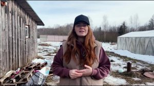 ПОЧЕМУ ПРОДАЛА ЛОШАДЬ, КОТОРУЮ СПАСЛА С БОЙНИ