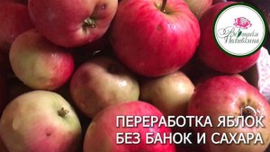 ПЕРЕРАБОТКА ЯБЛОК БЕЗ БАНОК И САХАРА