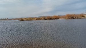 К.Батуев и его ФСР МИНИ