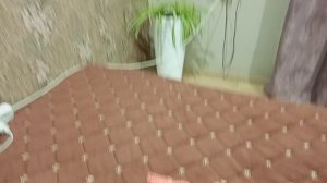 Что связалась  ,Покупачки 🛍️,цветы 🥀 продолжение заготовок 🍅🌶️🧄