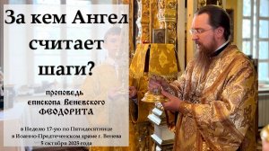 "Когда Ангел считает наши шаги?" Епископ Венёвский Феодорит.