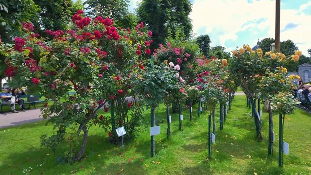 Этот город был признан городом номер один в мире... Вот как он выглядит, Вена-Австрия. смотреть онлайн