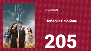 Небесная любовь 205 серия (сериал, 2010)