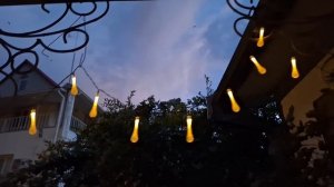 05-10-2025 начинаю огород приводить в порядок,розы цветут 🌹😍🌴🏘️🏞️
