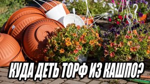 Куда девать старый торф из кашпо?