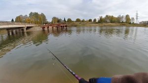 Обзор спиннинга "Волжанка Джиг-Мастер" тест 4-16гр 2.1м.