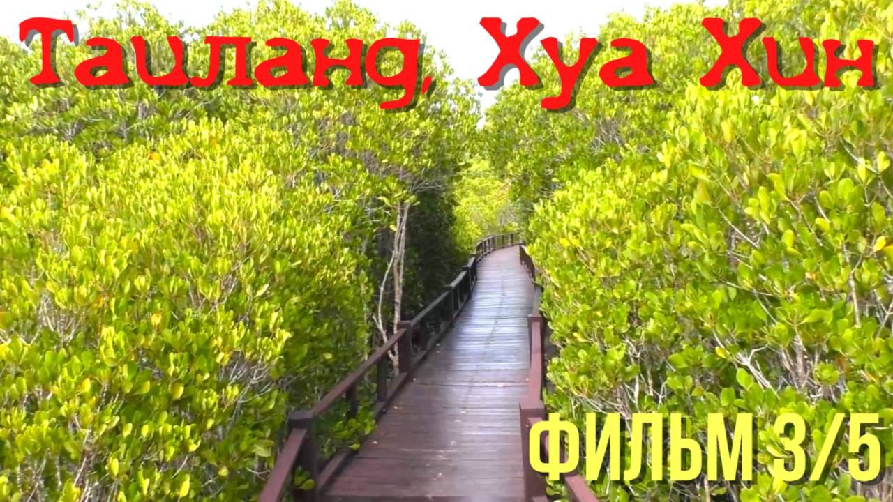 Таиланд Хуа Хин: Мангровый парк Pran Buri Forest Park и пляж Pran Kiri Beach