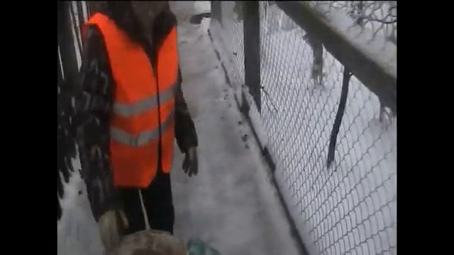 КАК ВЫЖИТЬ НА 1000 РУБЛЕЙ. ДЕНЬ 7- 9 смотреть онлайн