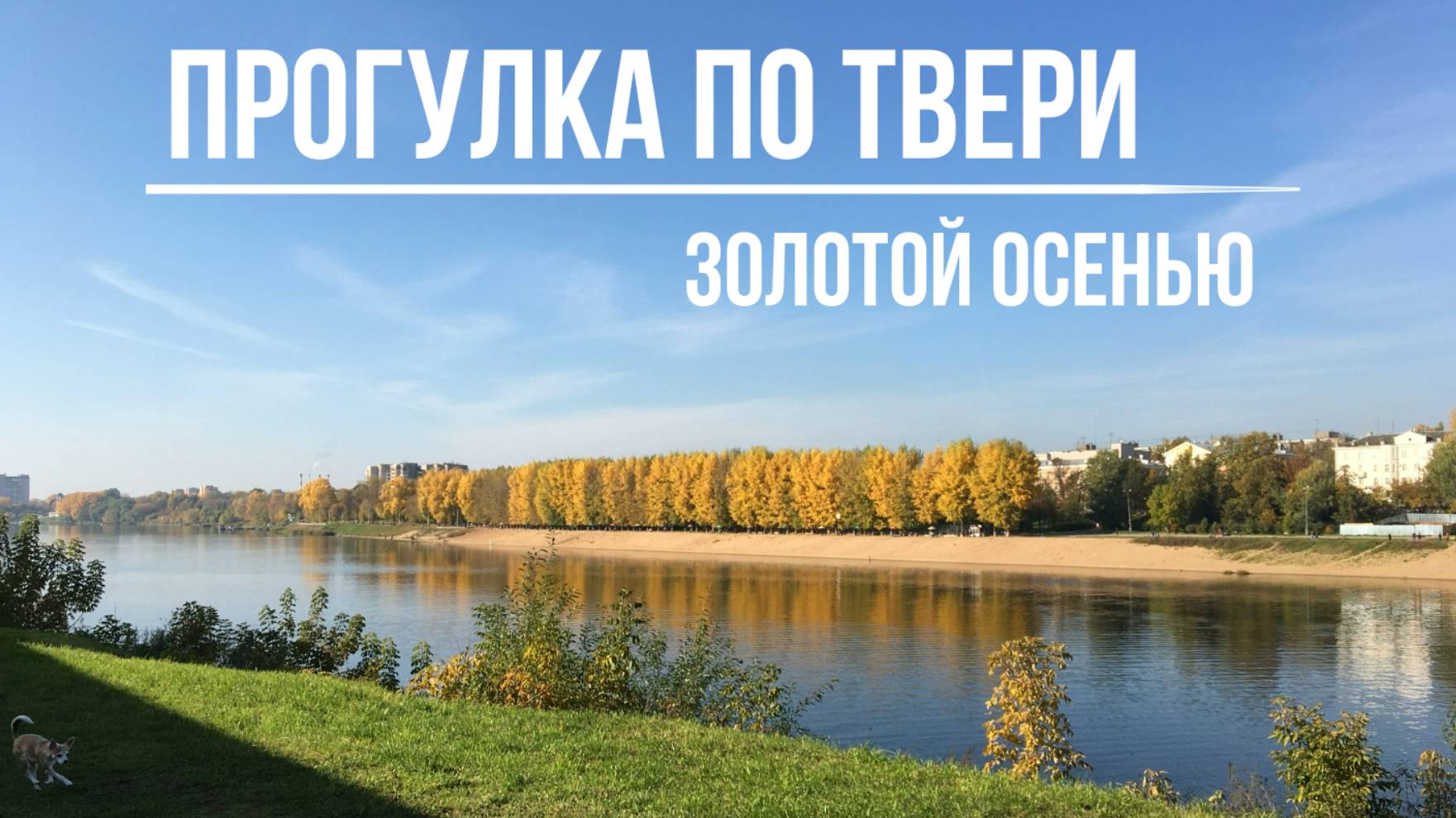 🍂Осенняя ТВЕРЬ!🍂 Романтичная прогулка вдоль Волги, красивая природа, золотая осень в Октябре! смотреть онлайн