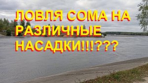 Троян - ловля сома на различные насадки!!!???