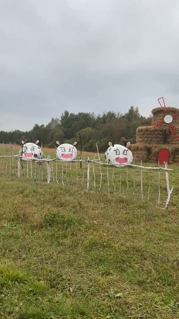 ОБОЖАЮ подобные вещи в Беларуси❤️ смотреть онлайн