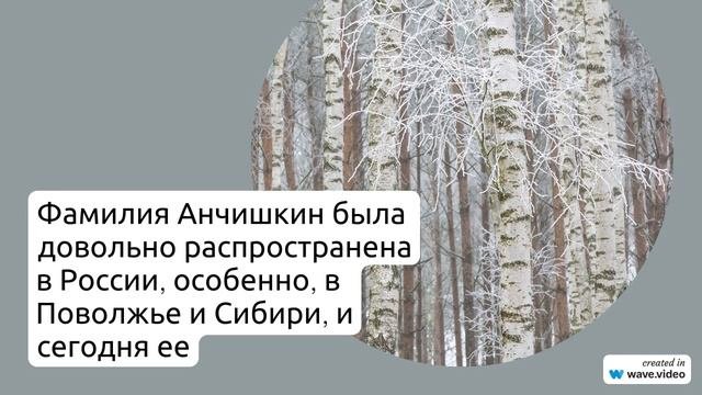 Фамилия Анчишкин: история, происхождение и значение - все, что нужно знать об этой фамилии. Узнайте