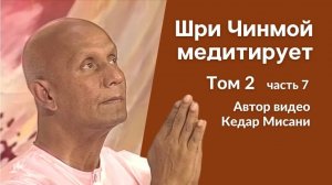 Шри Чинмой медитирует, том 2, часть 7. Автор видео Кедар Мисани