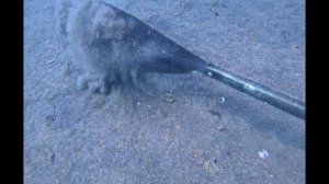 На глубине , нашел целое весло от SUP серфа 🏄 !