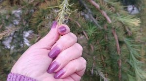 ЕЛЕНА КАРПУК. *ДАВАЙТЕ ЖИЗНЬЮ НАСЛАЖДАТЬСЯ❤*НУ ОПЯТЬ. СУПЕР. КЛАСС..