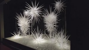 сад стекла Чихули 🌻