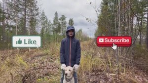 Видео про то как мы гуляем с Рэем 1 сезон 1 серия .