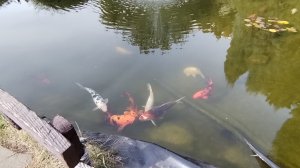 Саратов. 05.10.25г